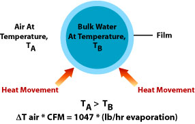 physics of evaporative cooling